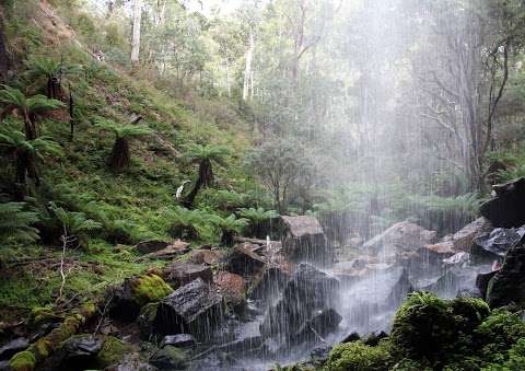 Photo: Bindaree Falls